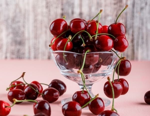 CESPY CHILE – Fresh Fruit Exporters