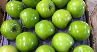Apple Granny Smith